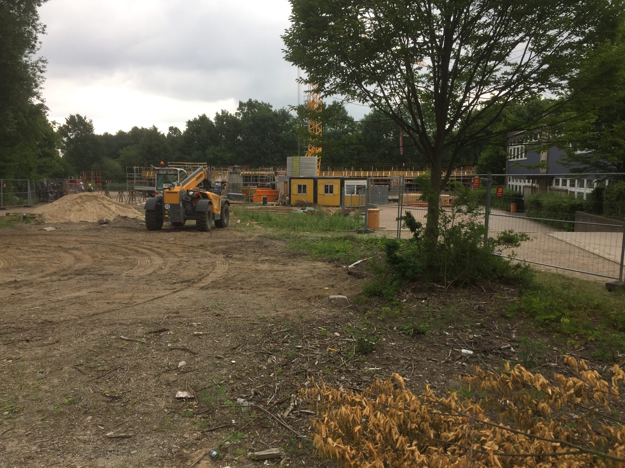 Stadtteilschule Stellingen_00002