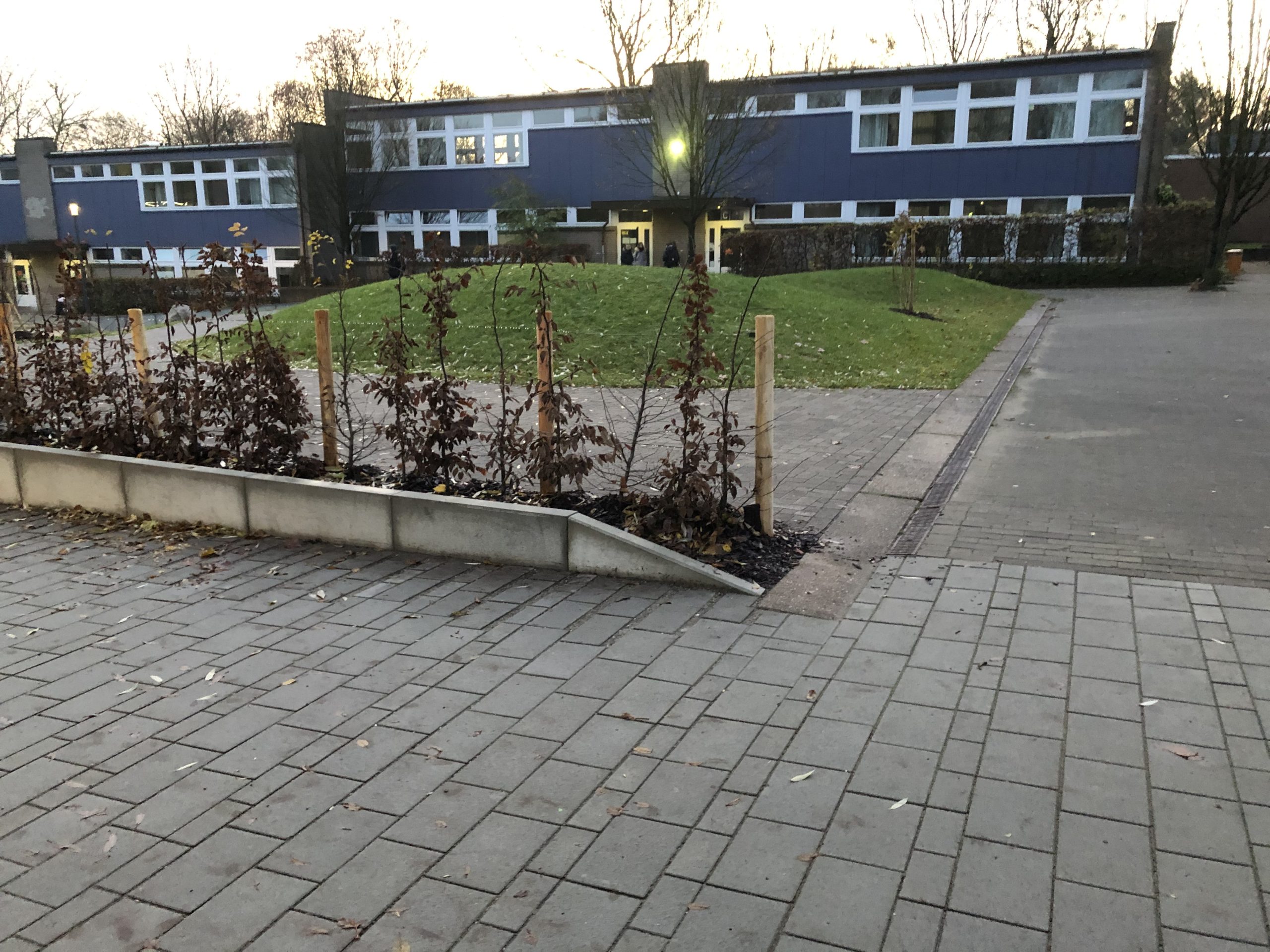 Stadtteilschule Stellingen_00008