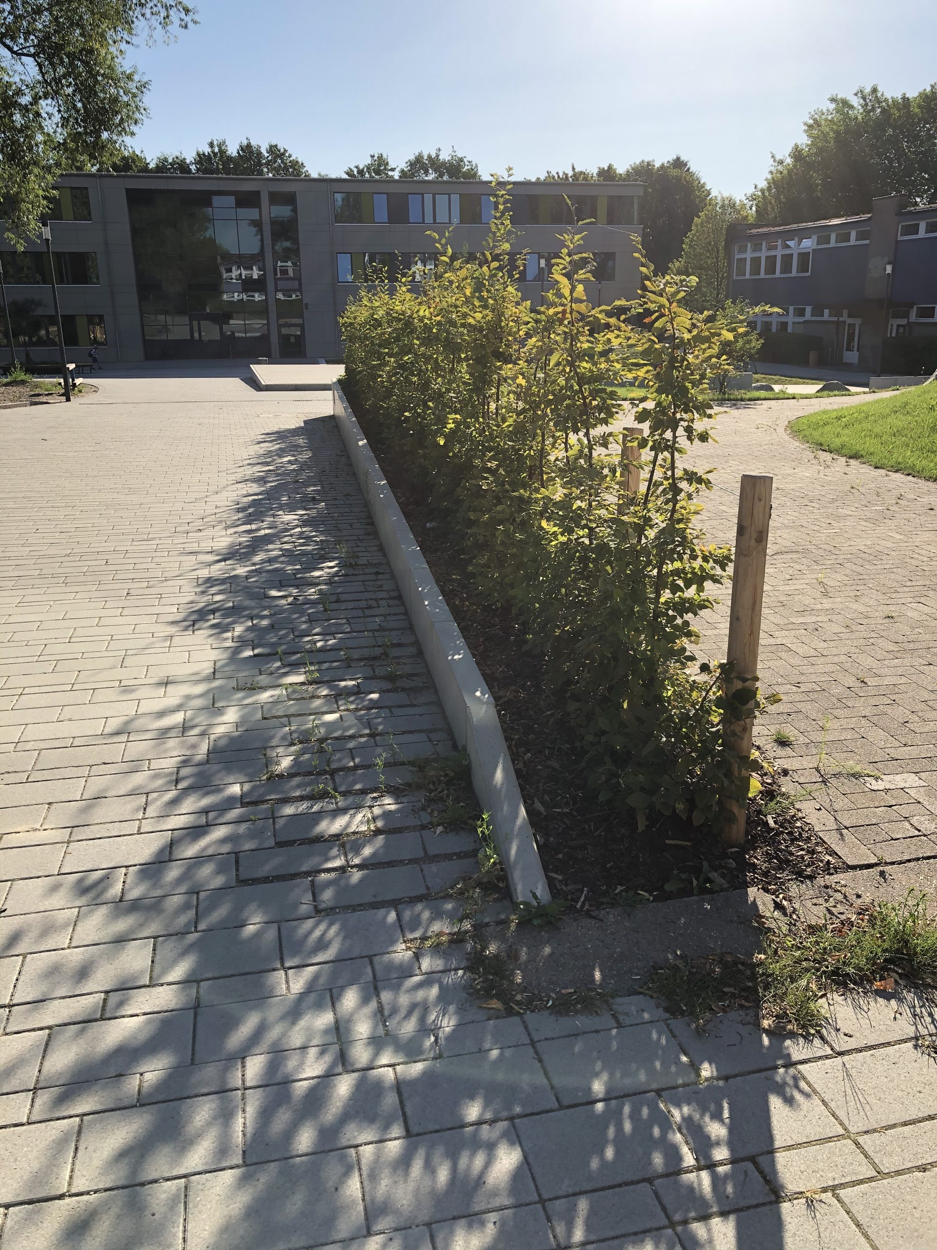 Stadtteilschule Stellingen_00016