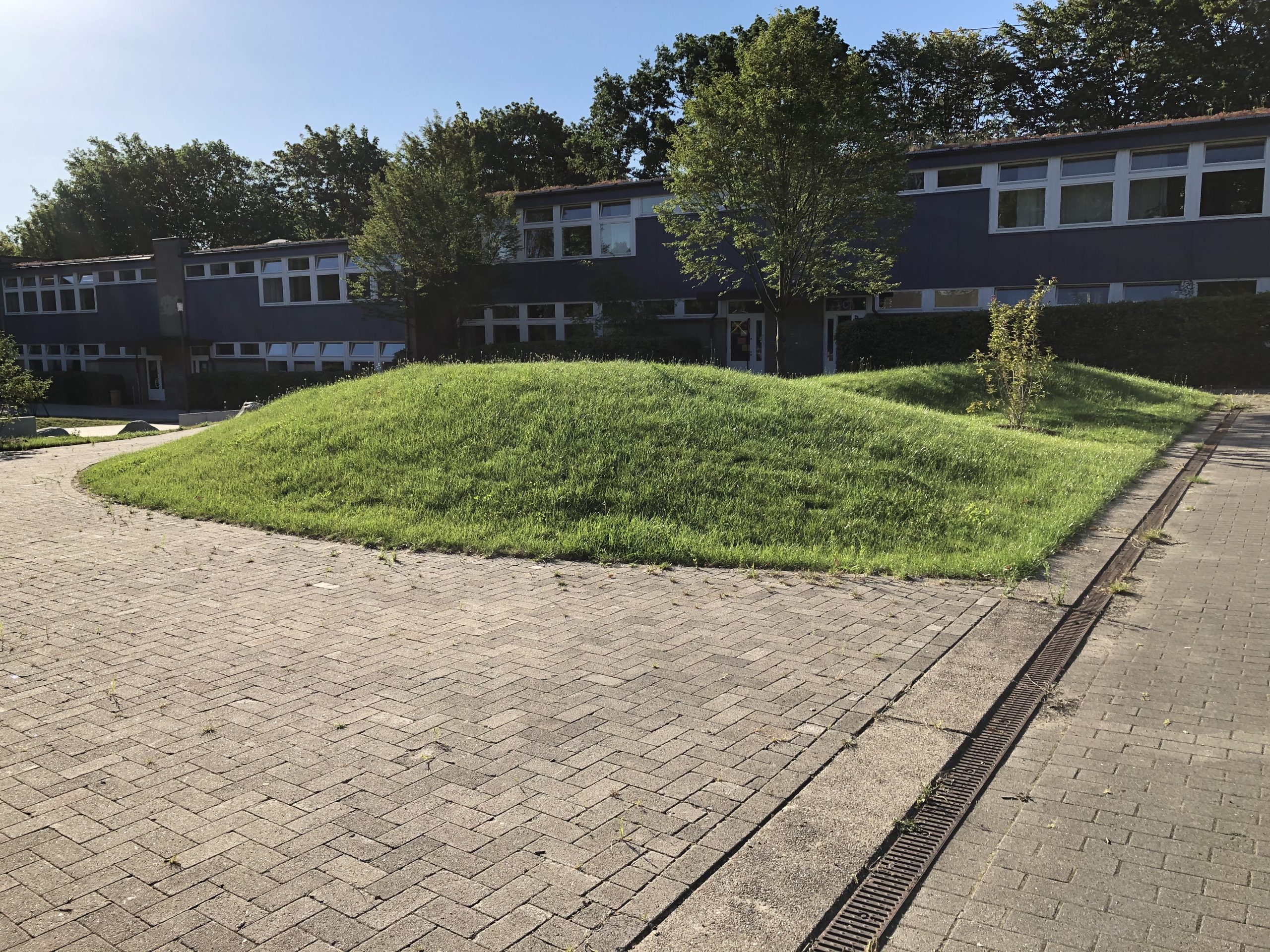 Stadtteilschule Stellingen_00017